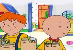 Caillou Temporada 8 Cap. 21 – 30