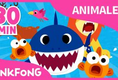 Las mejores canciones de animales / Pinkfong Canciones infantiles