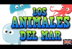Animales del mar en inglés / Inglés para niñas y niños con Mr. Pea